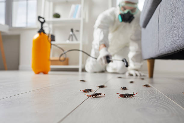 Commercial Kitchen Cockroach Control in Eudora